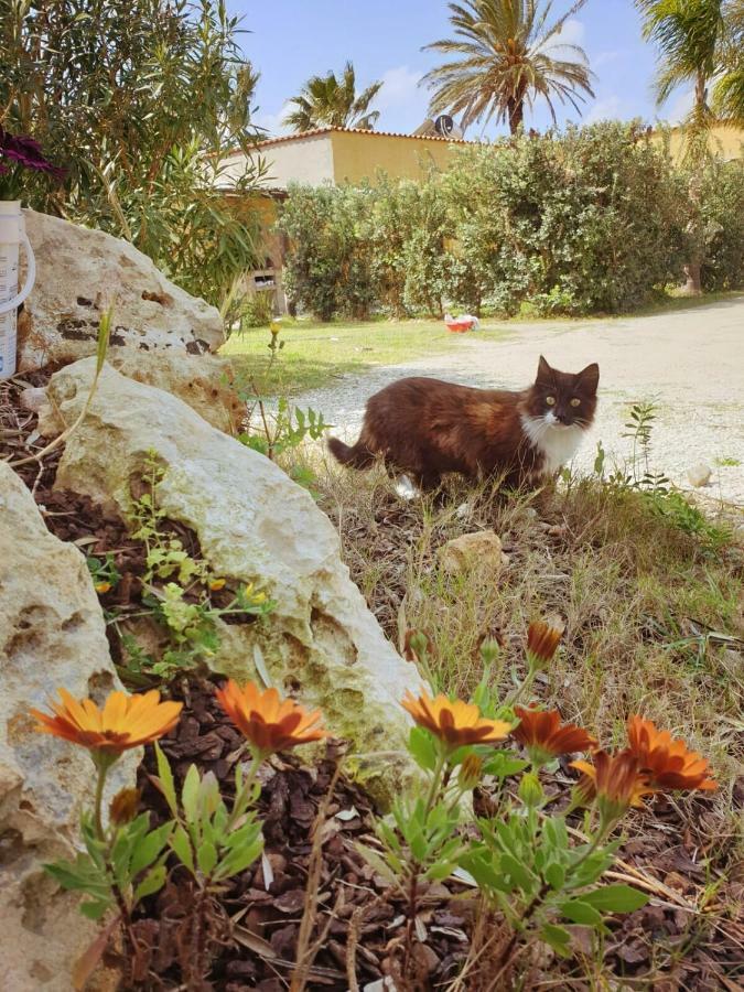 Trenasse Konuk evi Marsala Dış mekan fotoğraf